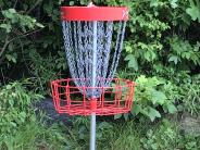 Disc Golf basket