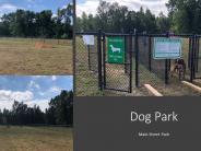 Dog park pics